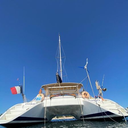 Catamaran Cypraea Terre-De-Haut Exterior photo