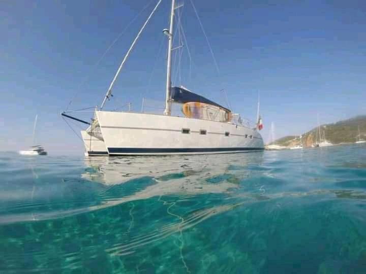 Catamaran Cypraea Terre-De-Haut Exterior photo