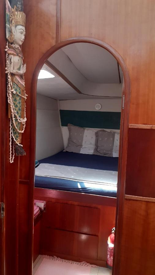 Catamaran Cypraea Terre-De-Haut Exterior photo