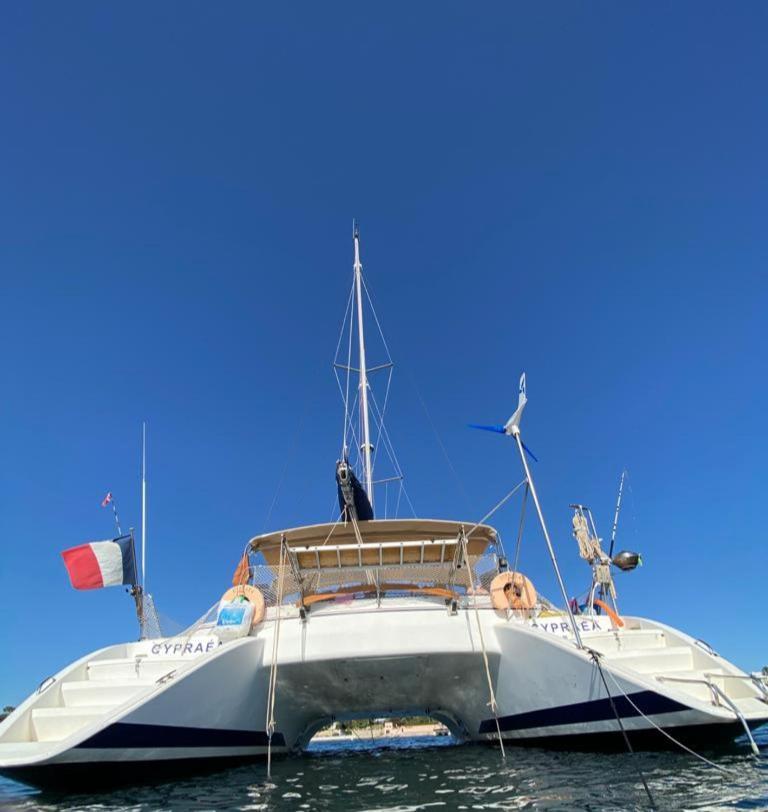 Catamaran Cypraea Terre-De-Haut Exterior photo